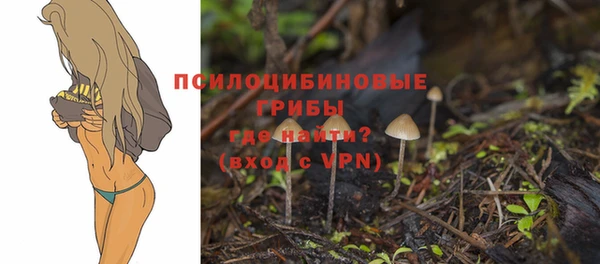 мескалин Березники
