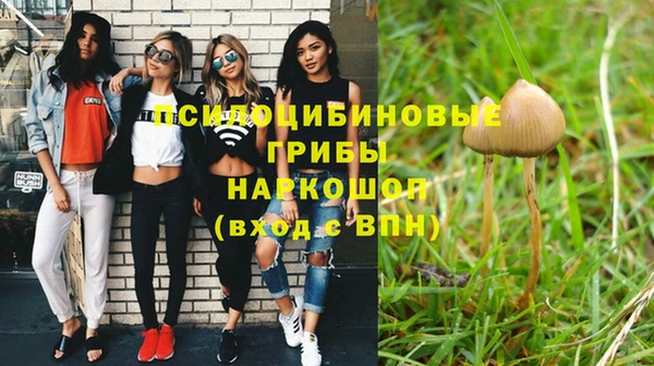 мескалин Березники