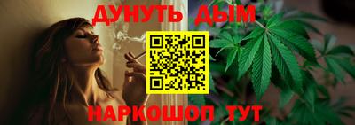 молекула духа Будённовск