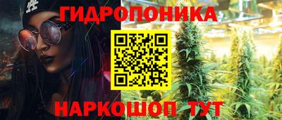 молекула духа Будённовск