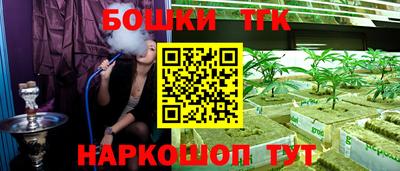 молекула духа Будённовск