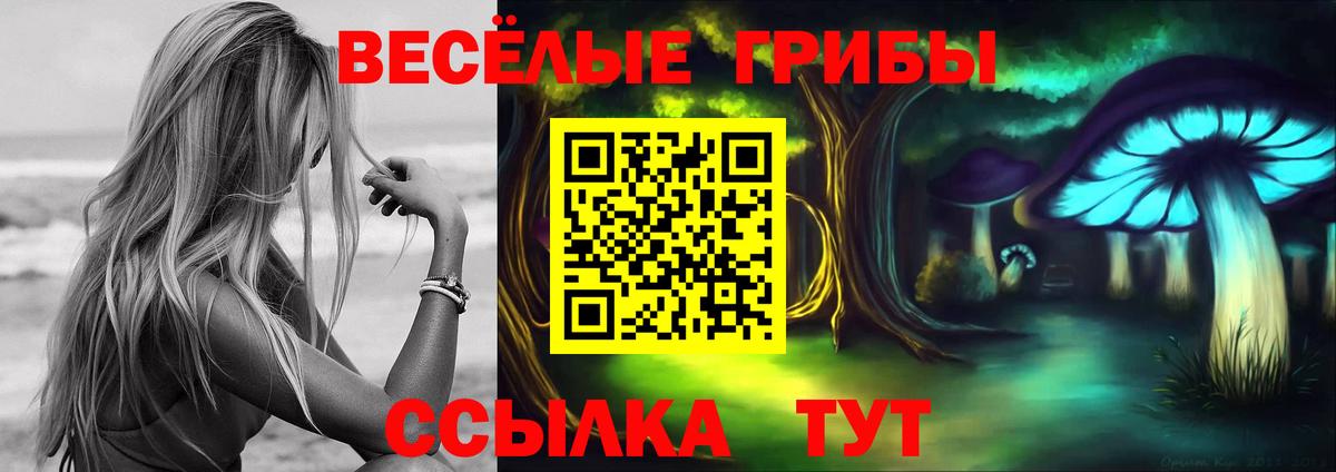 Галлюциногенные грибы мухоморы Арсеньев