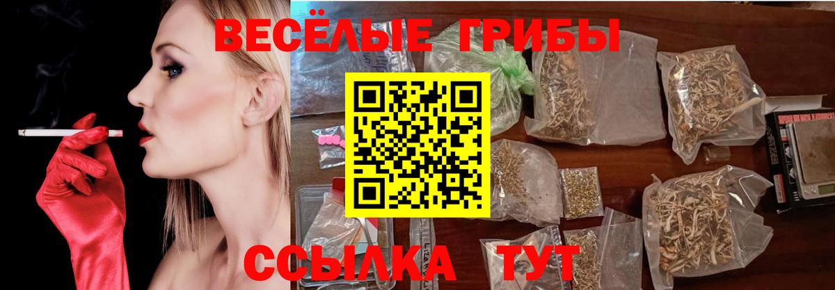 Псилоцибиновые грибы Cubensis  Арсеньев 